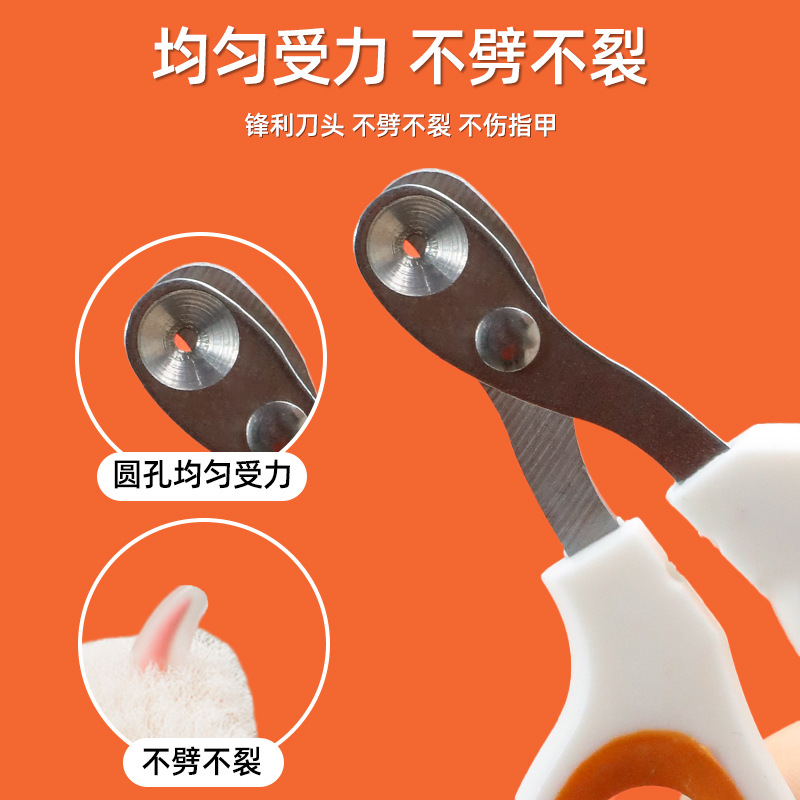 Gato especial tijeras de uñas agujeros redondos tijeras ciegas tijeras anti-tijeras líneas de sangre mascotas cortador de uñas de acero inoxidable al por mayor transfronterizo