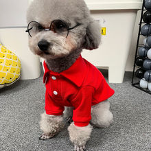 狗衣服夏季狗狗春季狗狗打底衫泰迪小型犬宠物服装小猫咪网红薄款