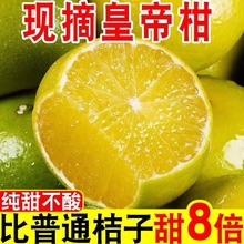 �����𡿏V���ʵ۸�10�����rˮ��ؕ��2/5����ٱ�Ƥ���l���ӽ���