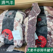 ���޹��ţ����558����ţ���X���u�ϵ��uţ�����廨ֺԭ��ţ��