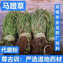 ��ș�� �R�Ų� �^��� ߀ꖲ� Сʯ�f �R�Ų� �R���� ֧��ș�z