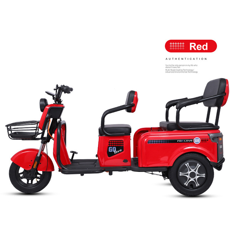 Dingzhi Mobility Scooter Customizable Logo Electric Tricycle (Auto Parts and Accessories) - 800w-bare-vehicle
