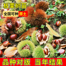 �������޽�ë���ӵ����ش�����������ϱ����Nֲ����Y�����B