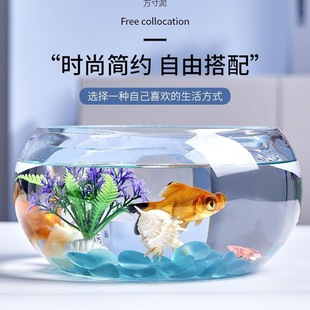 Thickened High Transparent Glass Fish Tank Small Goldfish Tank Turtle Tank Desk Living Room Household Fish Tank Landscape Hydroponics