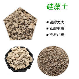园艺栽培硅藻土颗粒吸附剂硅藻土粉多肉兰花铺面硅藻土