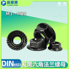 ���I���Ɍ��� ��ɫ304���m��ĸ DIN6923 ���ǻ��X�����ݽzñ