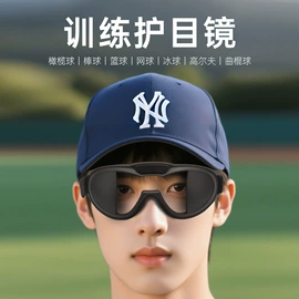 骑行眼镜;滑雪镜;宠物鞋靴