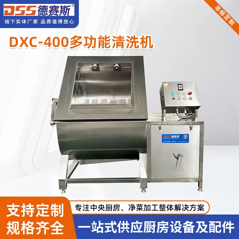 果蔬气泡清洗机 德赛斯多功能洗菜去农残清洗设备机高效洗菜机