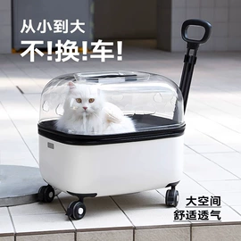 狗狗服装;猫猫窝/笼/垫;狗狗窝/笼/垫