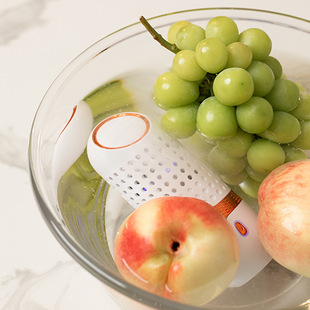 Household portable capsule fruit and vegetable purifier wireless input fruit and vegetable machine vegetable and fruit meat ingredients vegetable washing machine