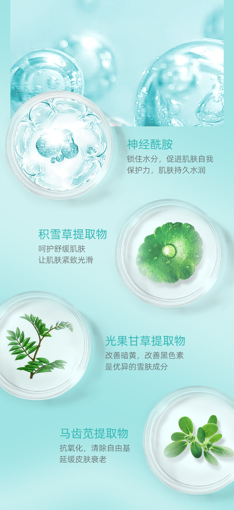 BAICOCO玻尿酸肌底舒护精华液_05