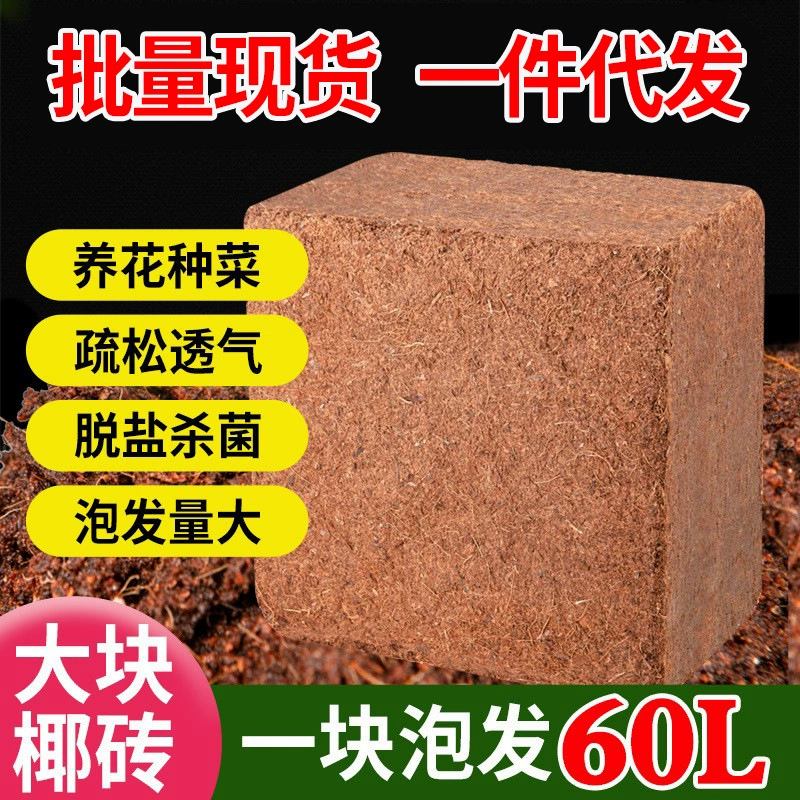 Большие куски кокосового кирпича питательная почва для выращивания цветов