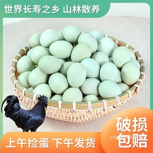 �r��G�����u����ɽɢ�B������r�F�l�ЋD���Ӟ��u����������