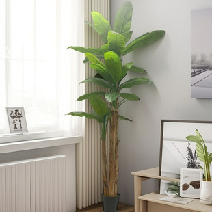 ���W����Gֲ�Ž��~����Gֲ���˽��҃��bҾӷ¼٘����԰Ž���