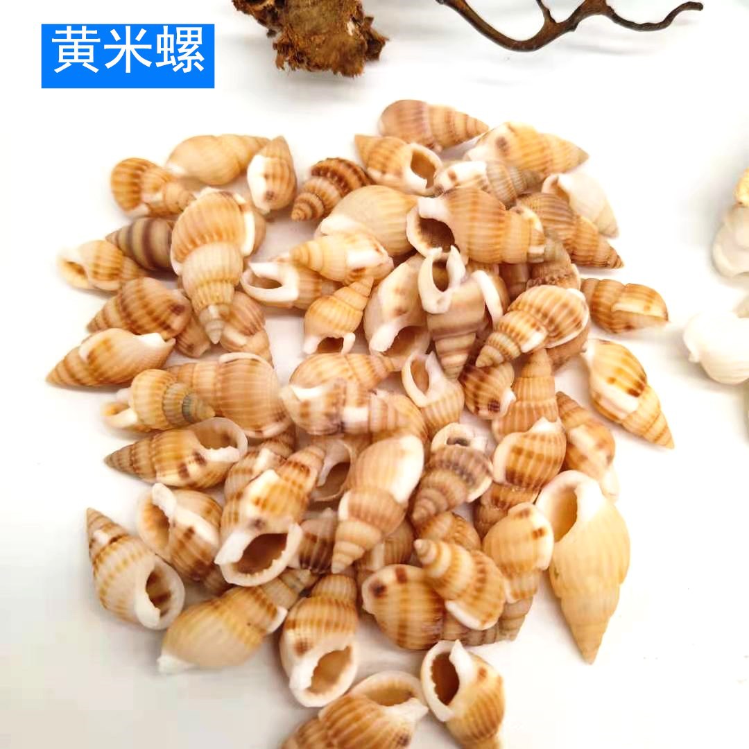 微信图片_20210128140515_副本