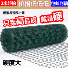 �F�z�W�����B�uӲ��䓽z�W���m�W�Bֳ���o�W���@���x�ř����پW