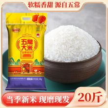 东北五常大米当季新米20斤批发零售主播带货编织袋软糯香甜