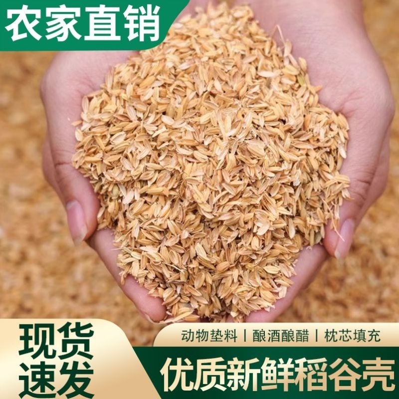 新鲜稻谷壳粗糠壳谷子壳稻糠壳动物宠物垫料保健枕头防震填充酿酒|undefined