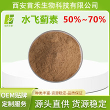 水飞蓟素50%/60%/70% 水飞蓟提取物 另有水飞蓟宾 首禾