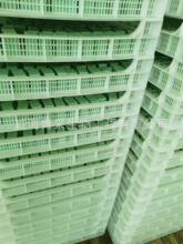 �J�C���J�C�������J�C�����J�C��¶�J�C��ȡ��͜�������