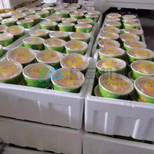 全自動蛋皮設備 廠家現貨 豆絲機生產線冷凍千層蛋皮機千層燙皮機