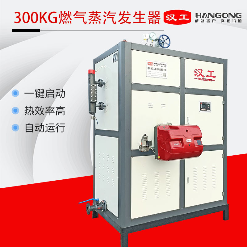 环保立式300公斤燃油蒸汽锅炉 蒸汽机生产商 0.3吨燃气蒸汽发生器