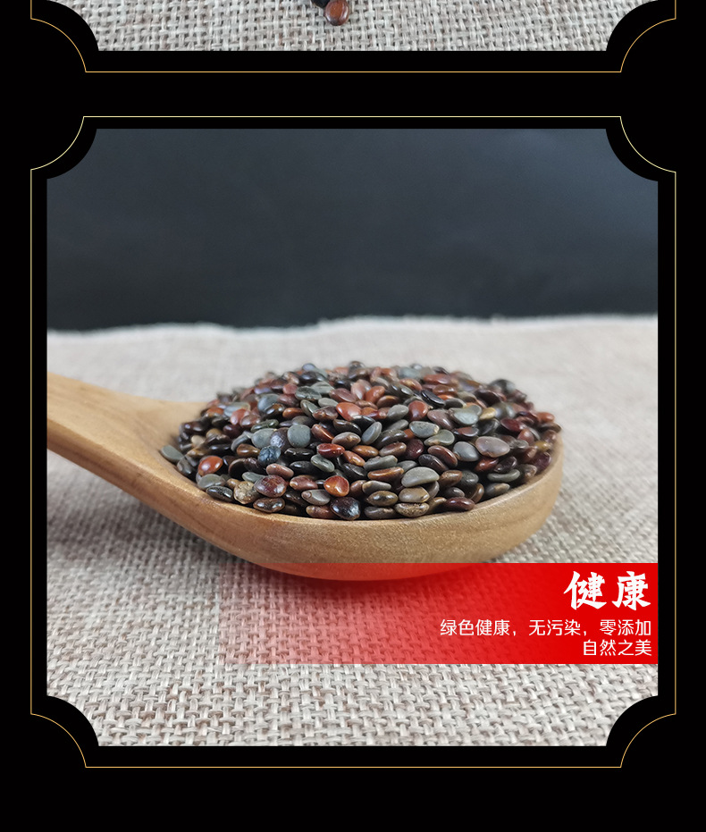 Dried Hovenia Dulcis Seeds Zhi Ju Zi Natural Raisin Tree Fruit for Herbal Tea and Decoction 500g in use