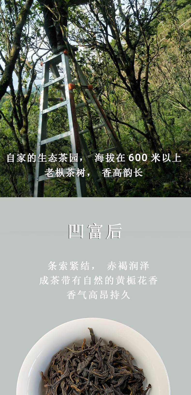 凹富后详情_07.png