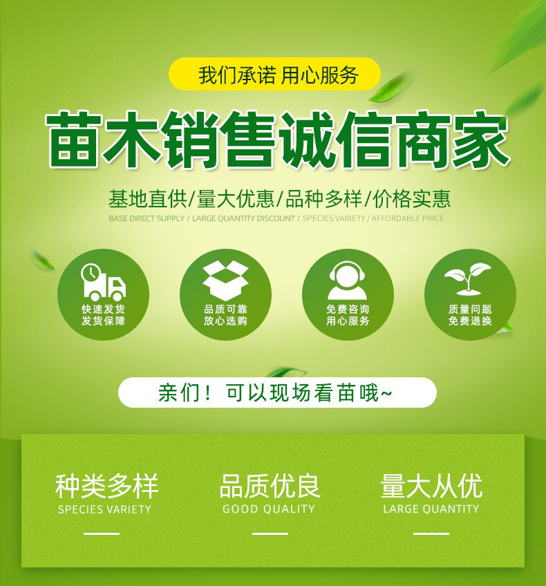 lQDPJxTMB7lQCQPNA1DNAxaw18JuNf