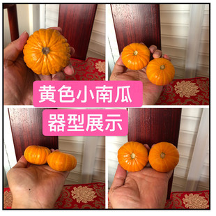 ��������Jɏ�����N����N������������Ѱˌ��^��ư��С�Ϲ�С