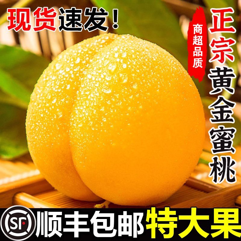Authentic Yellow Peaches, Golden Honey Peaches, Fresh Seasonal Fruits for Pregnant Women, Peaches, Free Shipping Via Sf Express, One-Piece Drop Shipping Authentic Yellow Peaches, Golden Honey Peaches, Fresh Seasonal Fruits for Pregnant Women, Peaches, Free Shipping Via Sf Express, One-Piece Drop Shipping