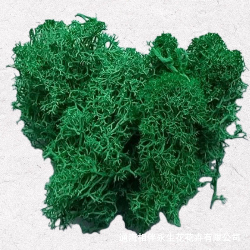 Light fruit green·Eternal moss