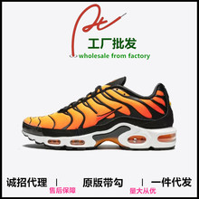 �������l�羳��ԭTNȫ�ƚ�|40-46�W��վ��Ь�\�����eЬ