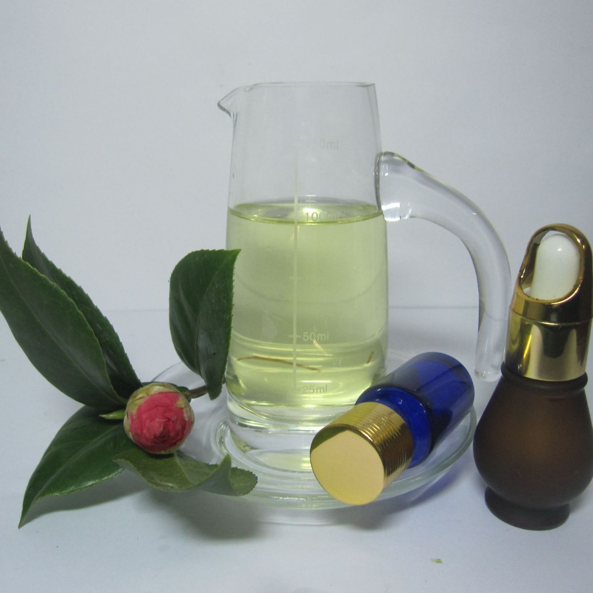 ������ ֲ�������� �ӷ����� ��ӭ����