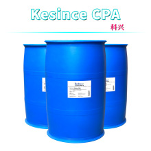 Kesince CPA Ԅ Ҭ PG-׻Ȼ@c