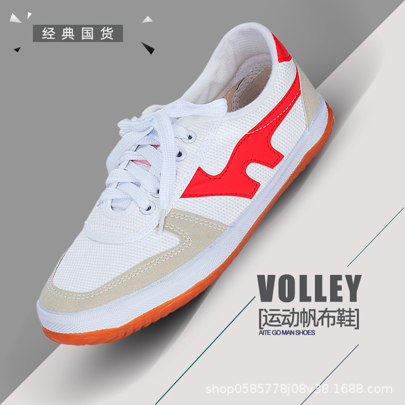 Cloud Arrow Sports Shoes, Volleyball Shoes, Martial Arts Shoes, Canvas Training Shoes, Men's and Women's Shoes, Track and Field Shoes, Practice Shoes, Breathable Tendon Soles