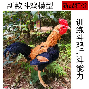 �ٶ��u ���uģ�� ���uӖ����Ʒ ���u ���u ���z�u ���u Ӗ