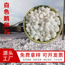 白色鹅卵石批发白石子水洗石庭院铺路鱼缸造景精品鹅卵石厂家现货