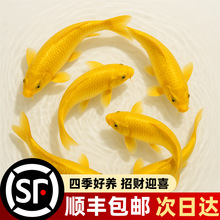 �S���\����ؔ�~�^�p�~���B�ͻ��ԁ�ˮ���B��ˮ�~����wС���~���l