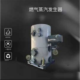 燃气导热油炉冬天取暖有机热载体锅炉化工厂燃油导热油循环锅炉