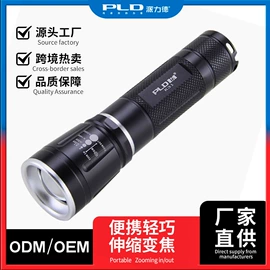 手电筒;头灯头戴电筒;提灯