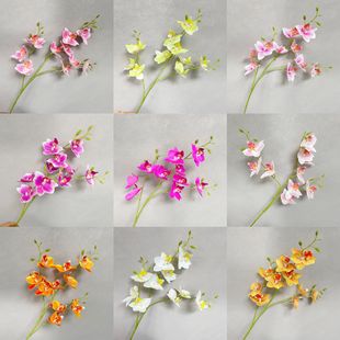 3�������m ���滨3D�m����c��Y�廨�b�ˇܛ�bޥ�mȸ�к����m