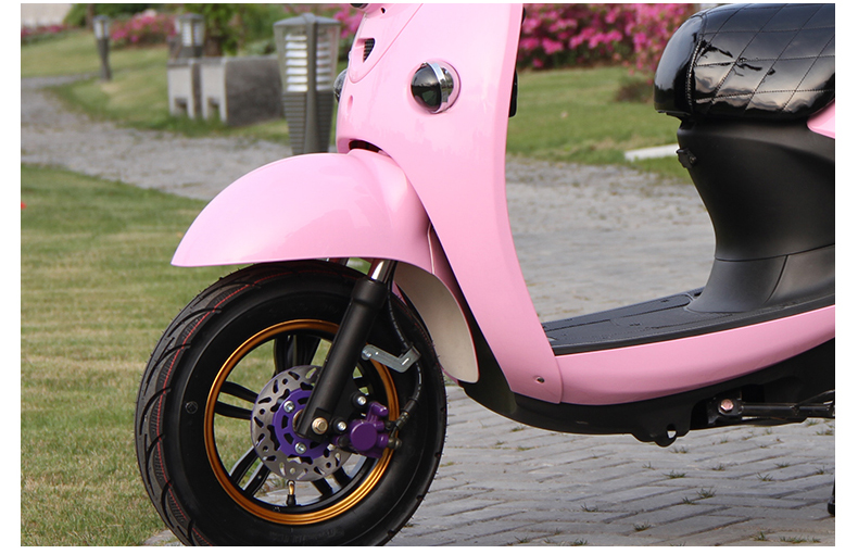 Electric Scooter Front Fender Universal for Small Electric Bikes, Suitable for Tailing, Yadea, Aima, Luyuan Models