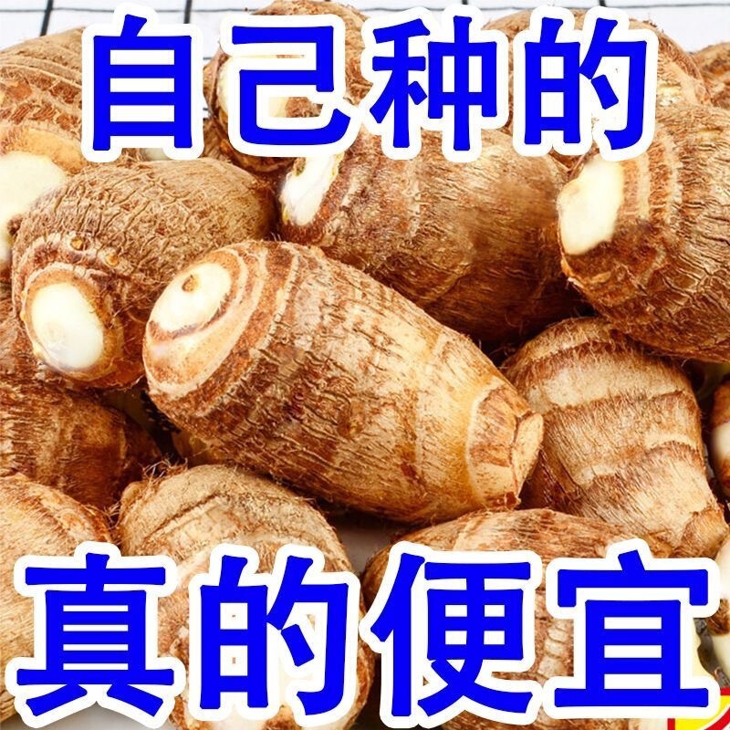Freshly Dug Milk-Flavored Taro, Small Milk Taro, Milk Heart, Selenium-Rich Milk, Jade Head, Alpine Seasonal Vegetable Powder, Free Shipping