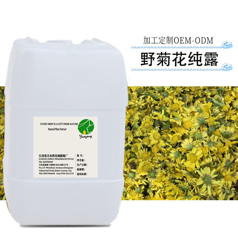 供应 原料爽肤野菊花纯露野菊花提取液 面膜 化妆水原料