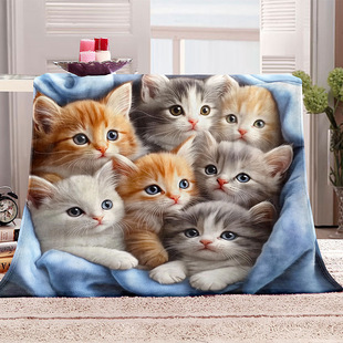 Cross-border foreign trade digital printing multifunctional flannel blanket bed blanket camping washable multi-size explosion wholesale