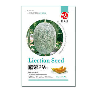 ������ҫ�s29���ܹ���ϷN�� ��Ƥ�W�y�ϷN�Ѵ���¶�ش��������N