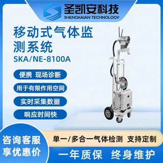 恶臭气体在线监测仪垃圾化工有害气体分析仪废气检测设备测量仪器