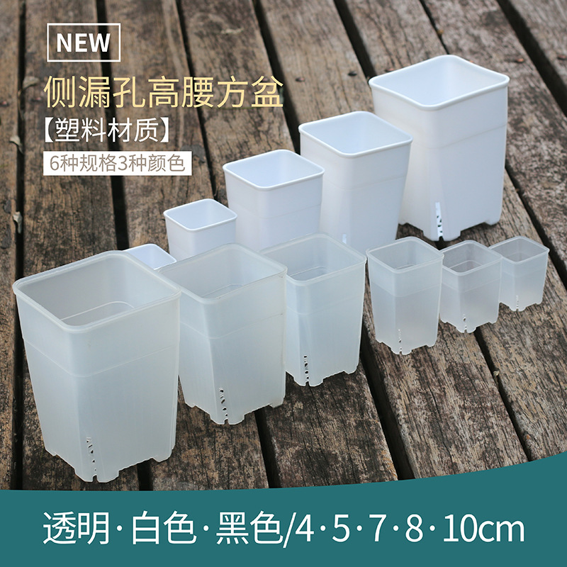 方形高腰万象盆多肉花盆塑料侧漏孔十二卷老桩透明白色透气小花盆