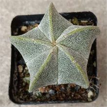 һ�����l����[�P�����������_���SɫƷ������B�҃ȷ�ݗ��